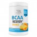 БЦАА Bodyperson Labs BCAA Recovery 500g
